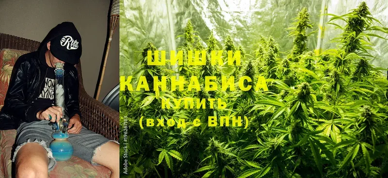 mega tor  наркотики  Асино  Шишки марихуана SATIVA & INDICA 